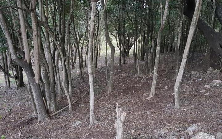 Terreno · 998m²