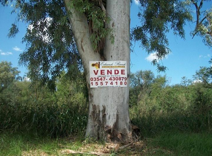 Terreno · 4805m²