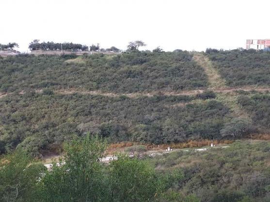 Terreno · 1000m²