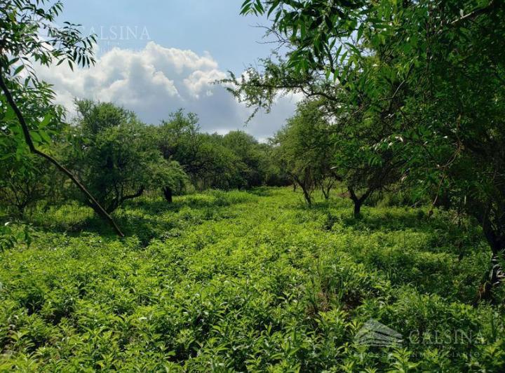 Terreno · 1300m²