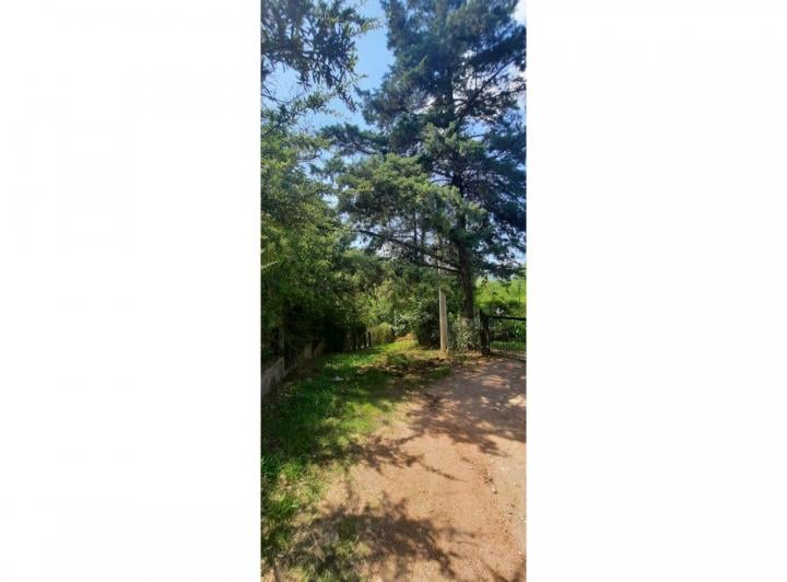 Terreno · 590m²