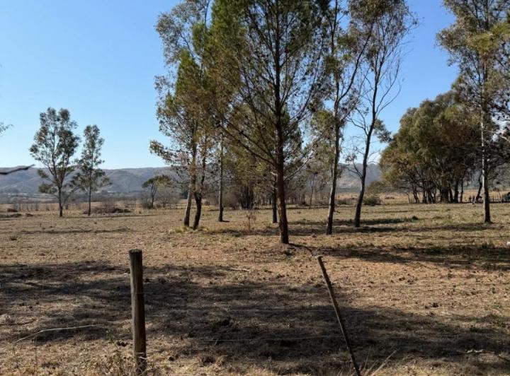 Terreno · 1000m²