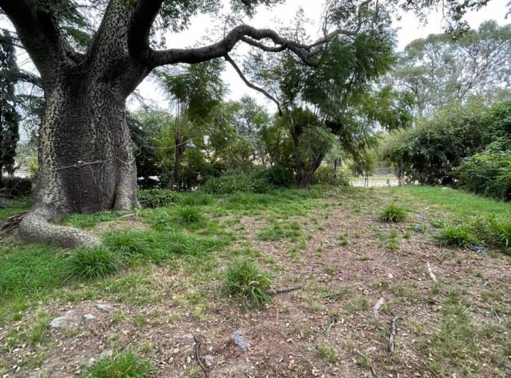 Terreno · 622m²