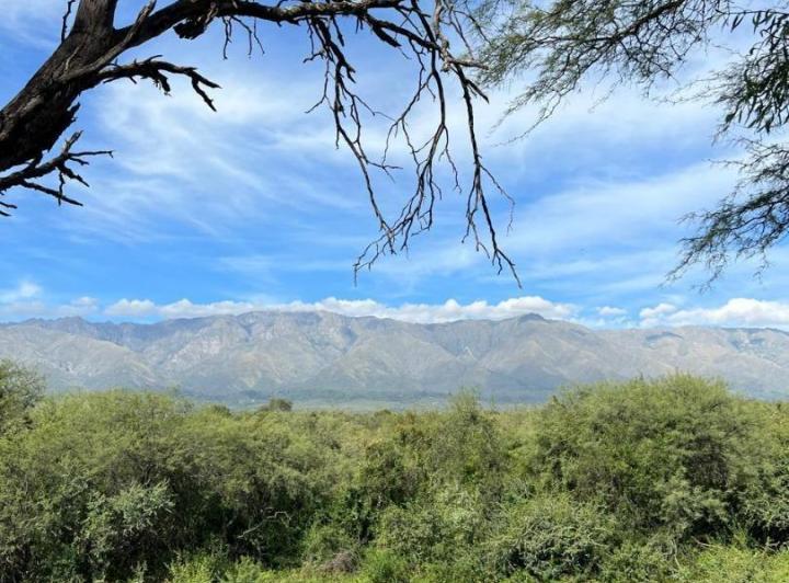 Terreno · 10000m²