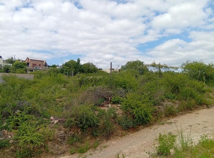 Terreno · 731m²