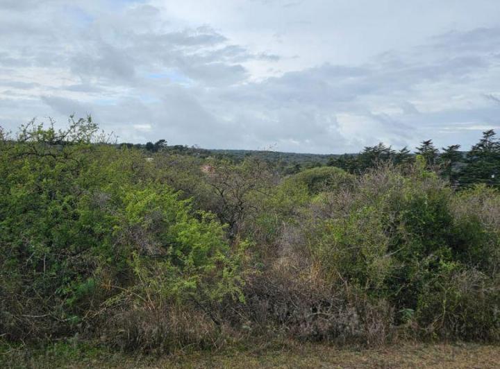Terreno · 4645m²