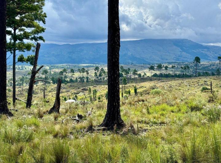 Terreno · 30000m²