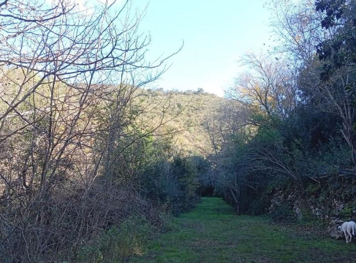 Terreno · 32m²