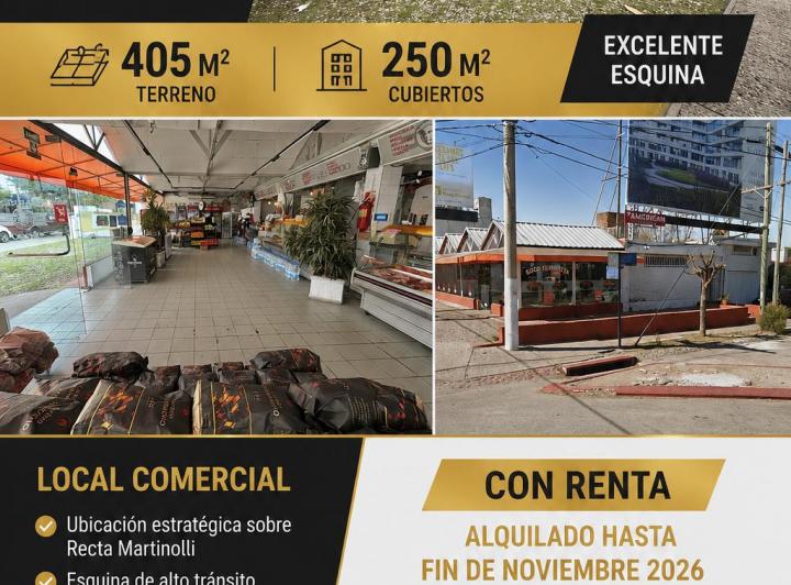 Local comercial · 250m² · 1 Cochera