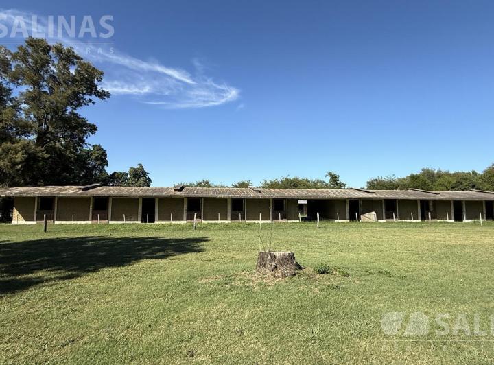 Casa · 700m² · 2 Dormitorios