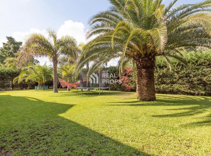 Casa · 375m² · 7 Ambientes · 2 Cocheras