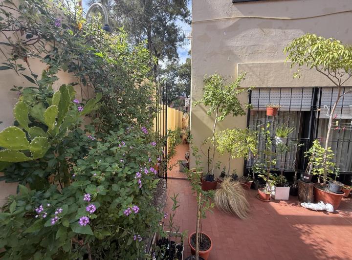 Casa · 250m²