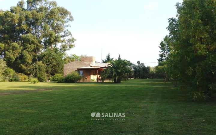 Casa · 3000m²
