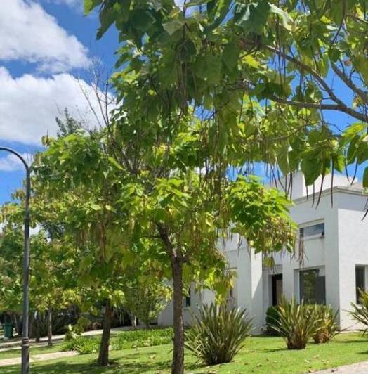 Casa · 290m² · 7 Ambientes · 1 Cochera