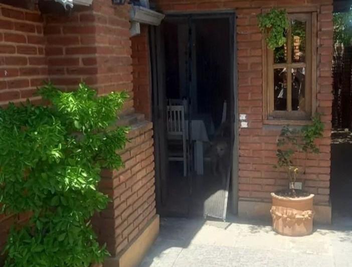 Casa · 300m² · 6 Ambientes · 2 Cocheras