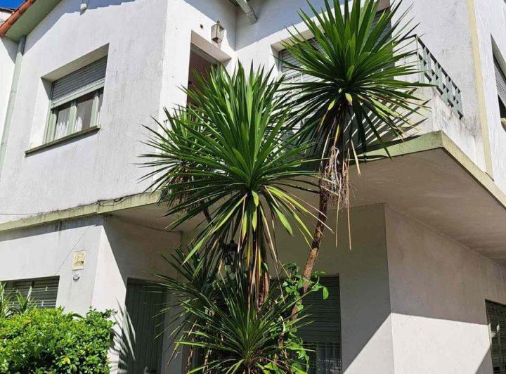 Casa · 205m² · 6 Ambientes
