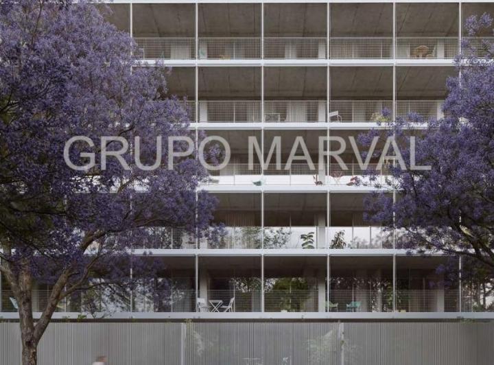 Desarrollo vertical