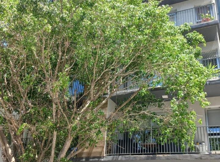 Departamento · 38m² · 1 Ambiente · 1 Cochera