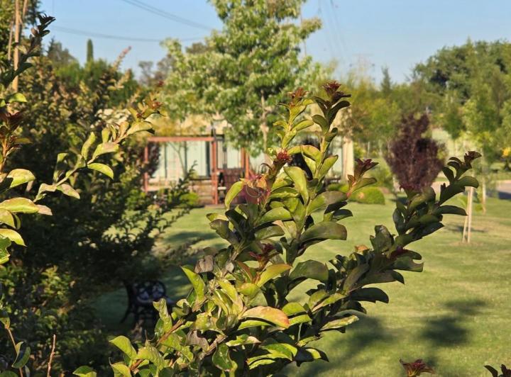 Departamento · 49m² · 1 Ambiente