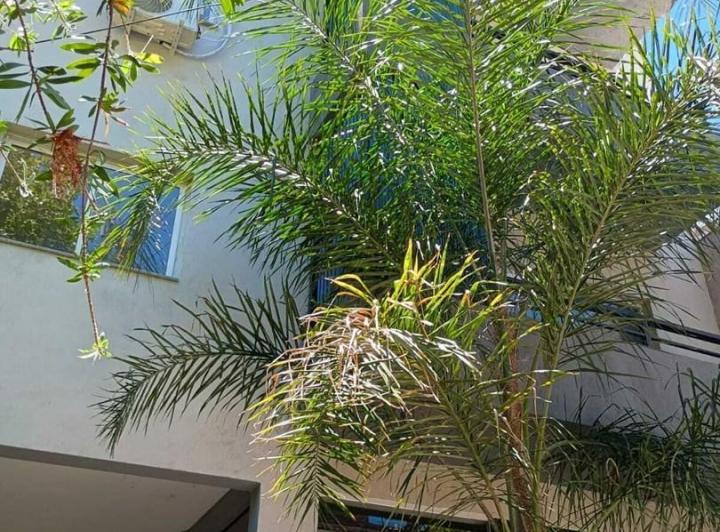 Departamento · 70m² · 3 Ambientes · 1 Cochera