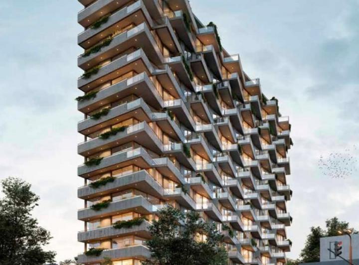 Desarrollo vertical