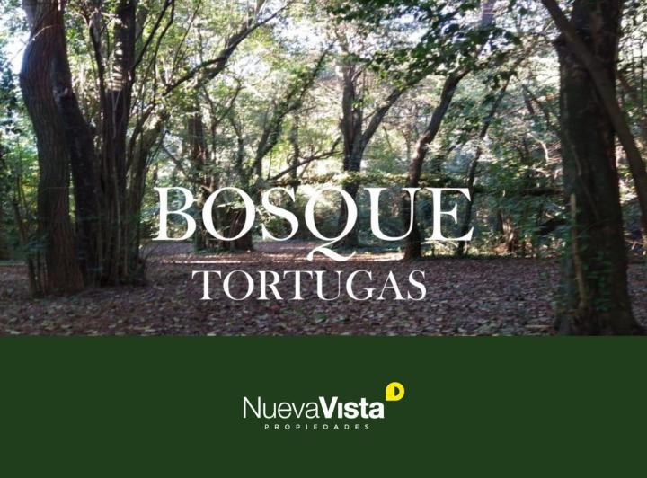 Desarrollo vertical