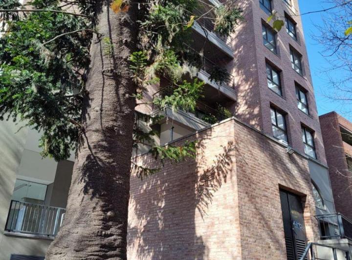 Departamento · 66m² · 3 Ambientes