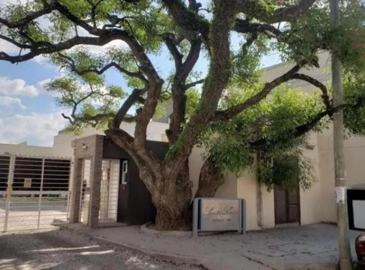 Departamento · 55m² · 2 Ambientes · 1 Cochera