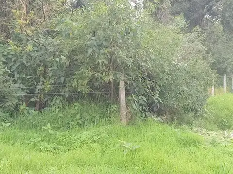 1 hectarea en margarita belen