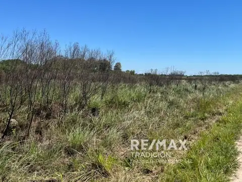 Venta 3 ha  colonia benítez