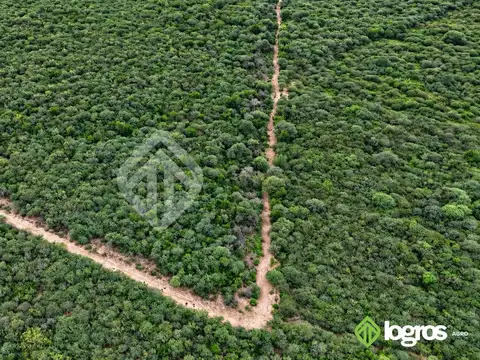 Campo ganadero con base agrícola de 2780 ha | ruta provincial 41, anta | salta