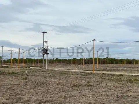 Terreno en rufina- cervantes