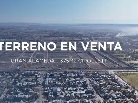 Terreno en b° gran alameda cipolletti en venta
