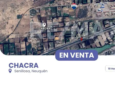 Venta chacra 10 hectareas con casa en senillosa