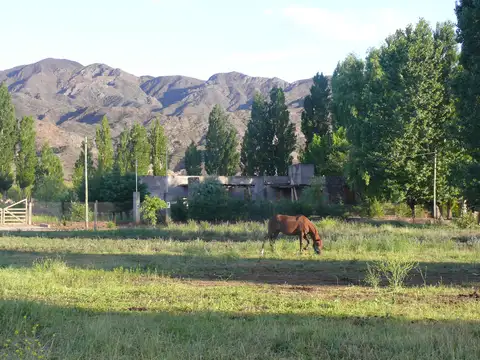 Venta en ruta 52 pleno valle de uspallata, 2500 m2 luz, perforación, riego en el lote precio con escritura en mano