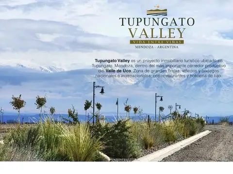 Lote de 3000 mts2 en tupungato valley