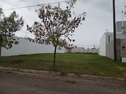 Lote en venta - la alameda