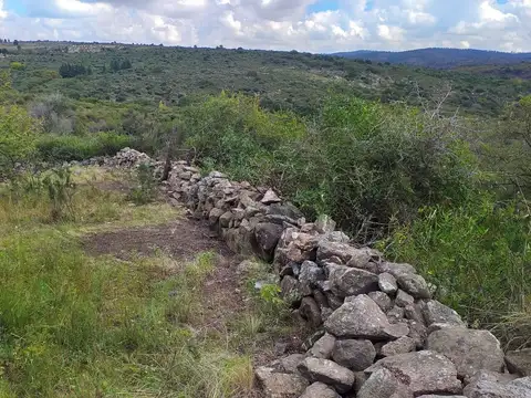 Lote en venta la falda 3.5 ha oportunidad