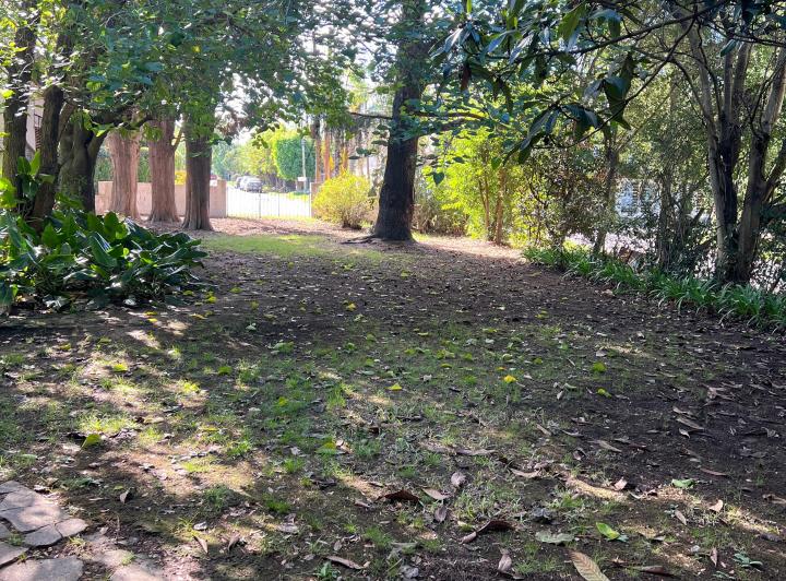 Terreno · 356m²