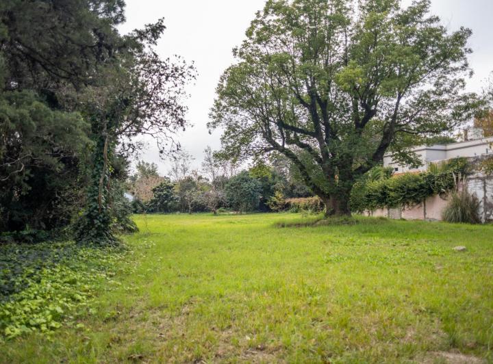 Terreno · 1220m²