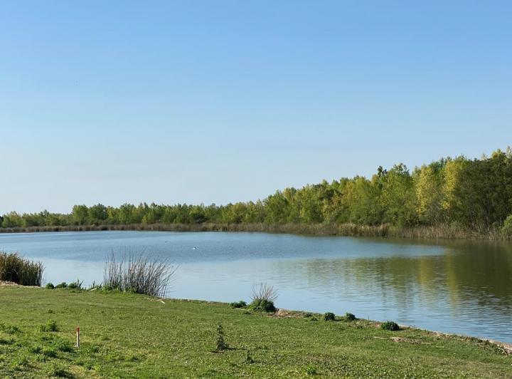 Terreno · 977m²