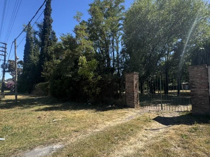 Terreno · 1568m²