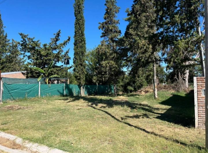 Terreno · 310m²