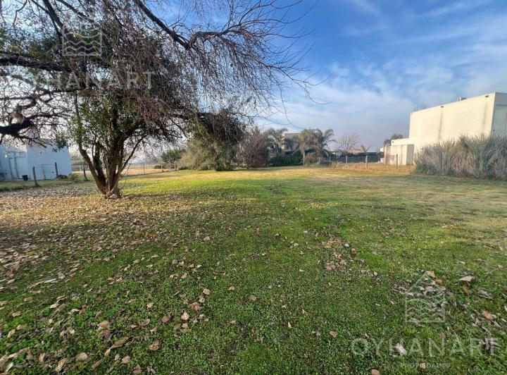 Terreno · 1040m²