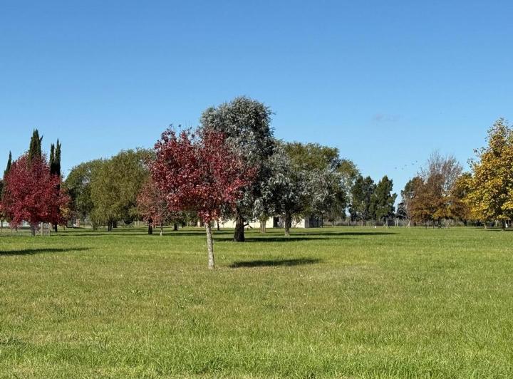 Terreno · 1019m²