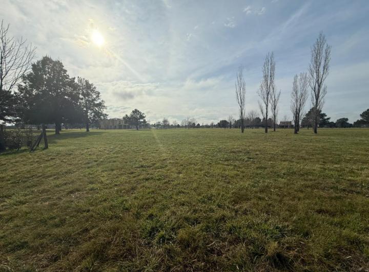Terreno · 1000m²