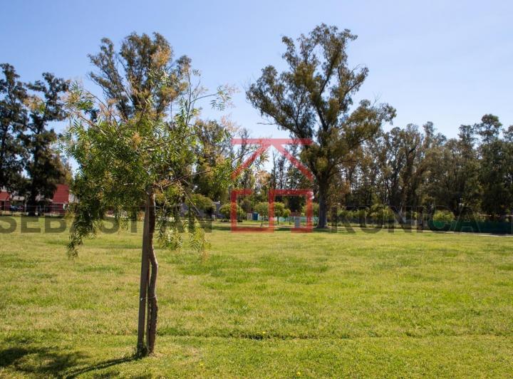 Terreno · 646m²