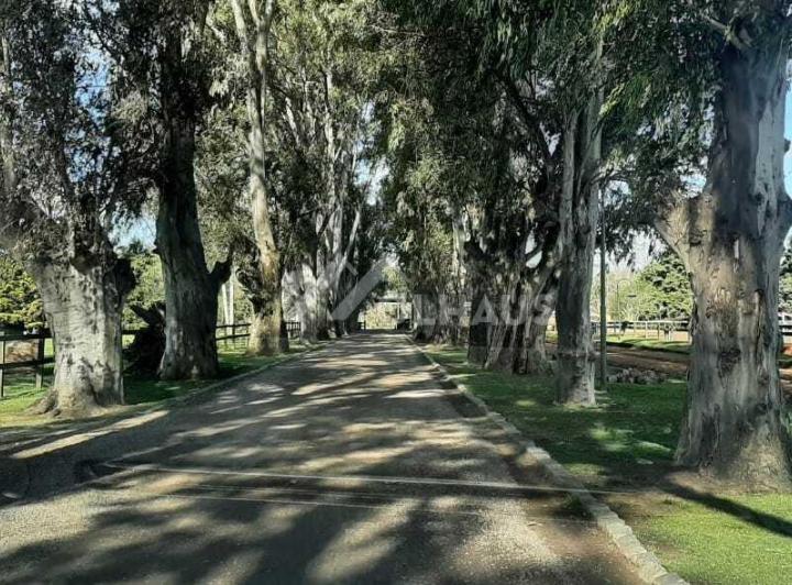 Terreno · 1327m²
