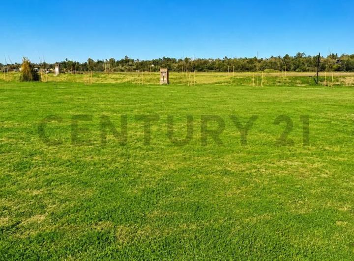 Terreno · 800m²