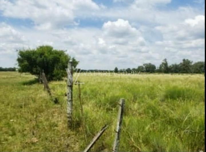 Terreno · 8400m²